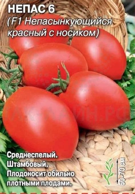 Томат Непас 6 (Непасынкующийся красный с носиком): описание сорта ...