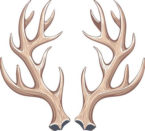 Elegant antler silhouette illustration art featuring pair symmetrical