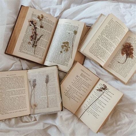 #эстетика | Vintage books, Pressed flowers, Book aesthetic