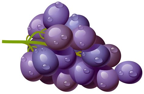 Free Purple Grapes Cliparts, Download Free Purple Grapes Cliparts png ...