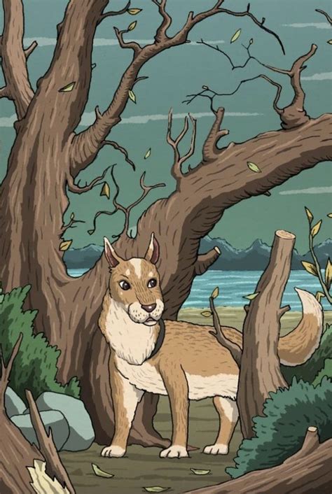 find  cat hidden   optical illusion  york post