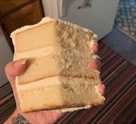 cake funny posts pictures  gifs  joyreactor