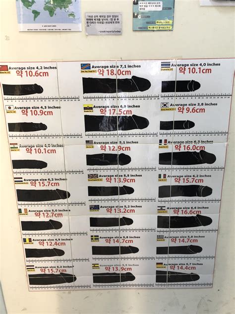 This average dong size chart in a Korean adult shop : r/mildlyinteresting