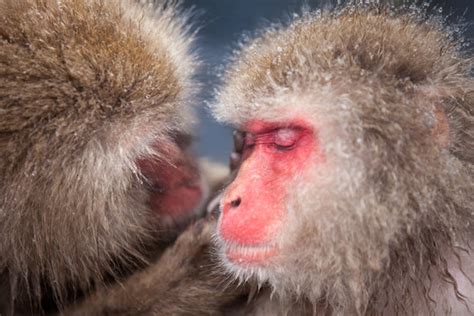 รูปภาพLausen – เลือกดูภาพถ่ายสต็อก เวกเตอร์ และวิดีโอ1,382 | Adobe Stock