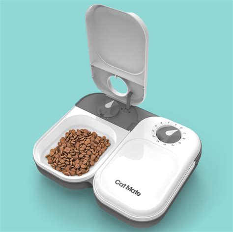 automatic cat feeders