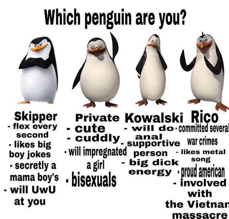 Penguins Of Madagascar Meme