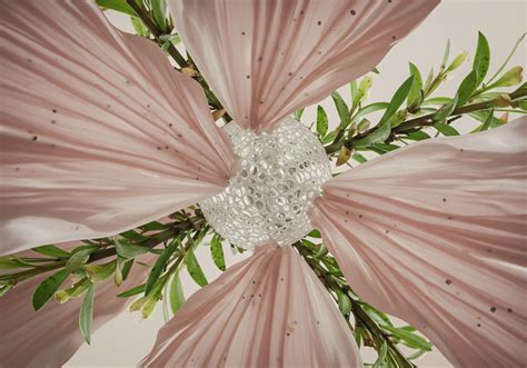 Fortress Conservation → Term