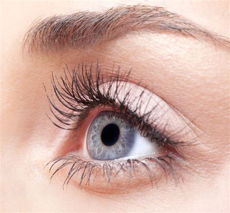 Eye Care Cosmetics SA