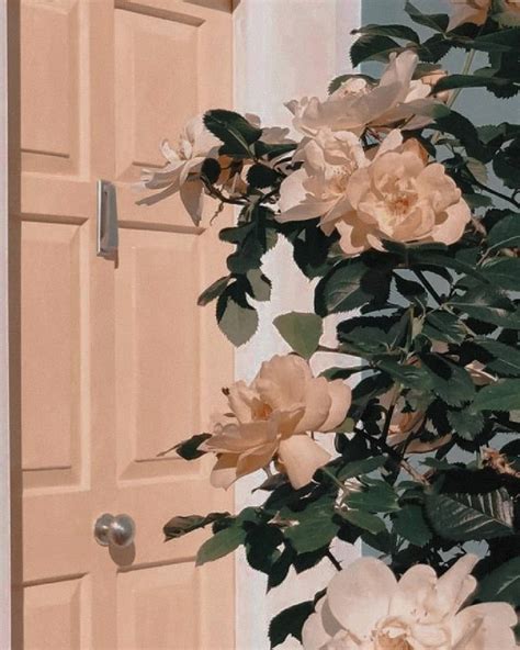 31 Aesthetic Pictures To Draw Pinterest Iwannafile - vrogue.co