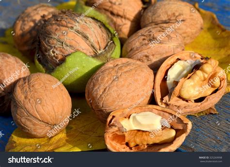6 Voloska Images, Stock Photos, 3D objects, & Vectors | Shutterstock
