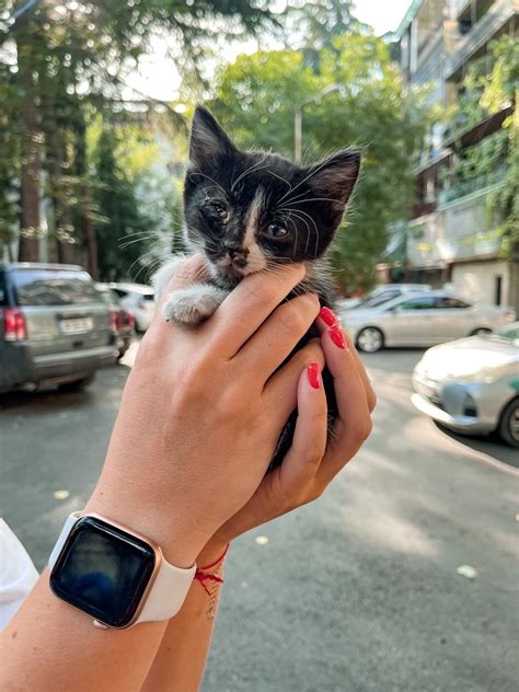 крошка цейтнот on Twitter: "Эрти два месяца назад и сейчас 🖤"