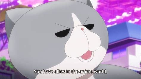 Animegataris Review — B+ | Draggle's Anime Blog