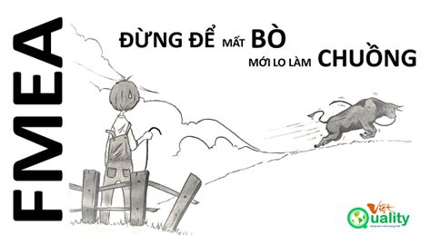 fmea dung de mat bo moi lo lam chuong viet quality