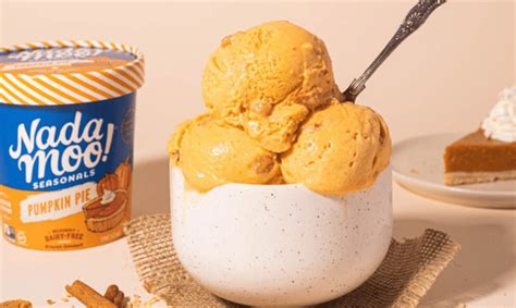 The Best Dairy-Free Ice Cream Brands | Just Vegan Today