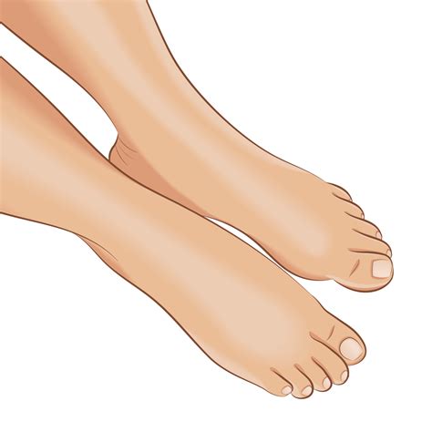 Free Clip Art Feet, Download Free Clip Art Feet png images, Free