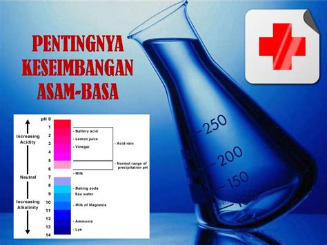 milagros: PENTINGNYA KESEIMBANGAN ASAM-BASA TUBUH