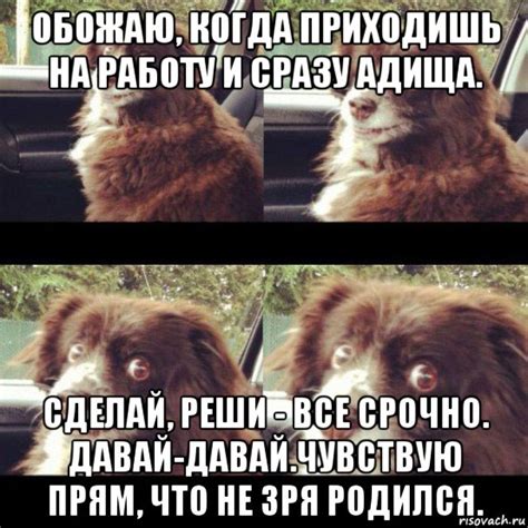 обожаю, когда приходишь на работу и сразу адища. сделай, реши - все ...