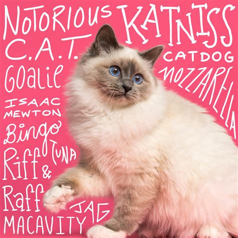 Best Female Cat Names Ever