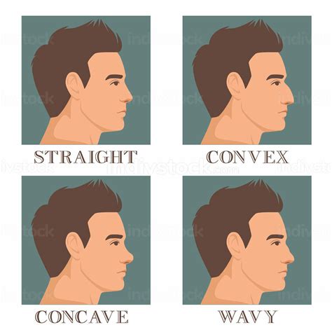 Different Nose Shapes Types