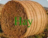 hay difference