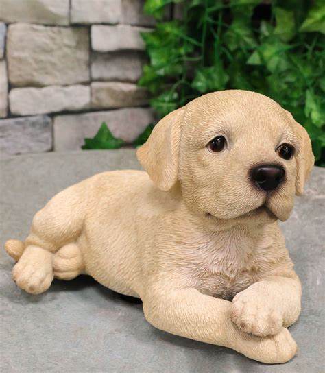 Lifelike Adorable Labrador Puppy Dog Lying On Belly With Crossed Arms