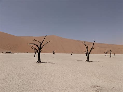 1165 best Namibian images on Pholder | Earth Porn, Interestingasfuck