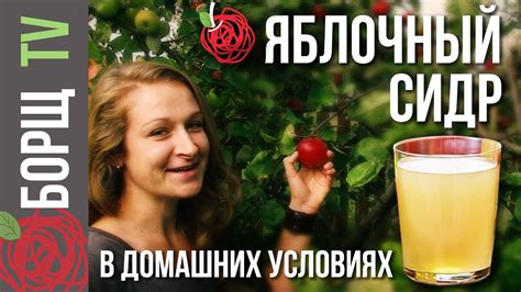Яблочный сидр | Рецепт яблочного сидра из сока в домашних условиях ...