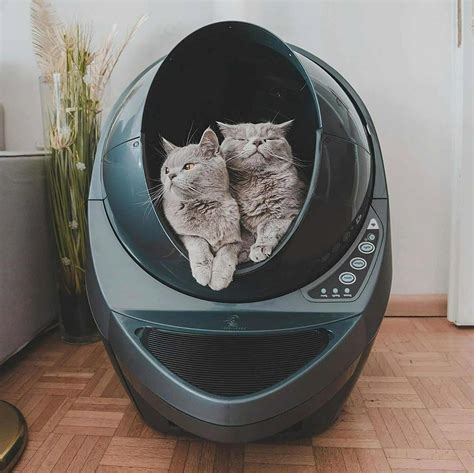 6 Benefits Of Self-Cleaning Cat Litter Boxes