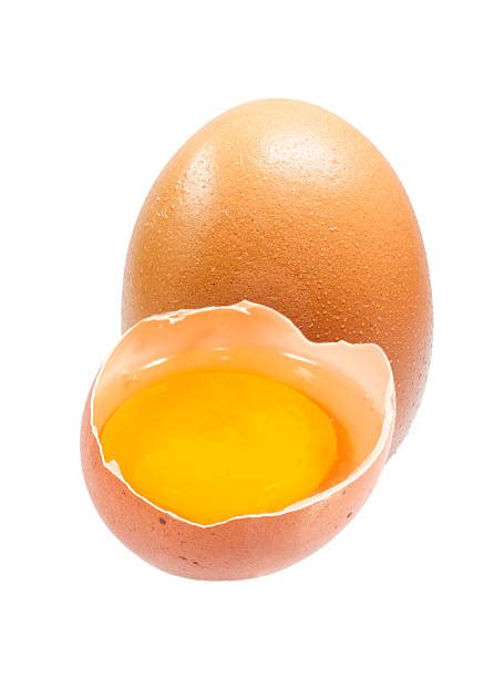 yalk stock  pictures royalty  images istock