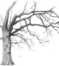 Love pen and ink drawings of trees, site here shows Ink Pen Drawings ...