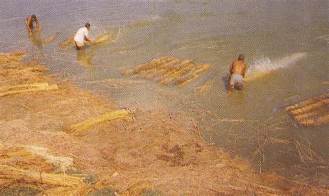 extraction  fibreretting  scientific diagram