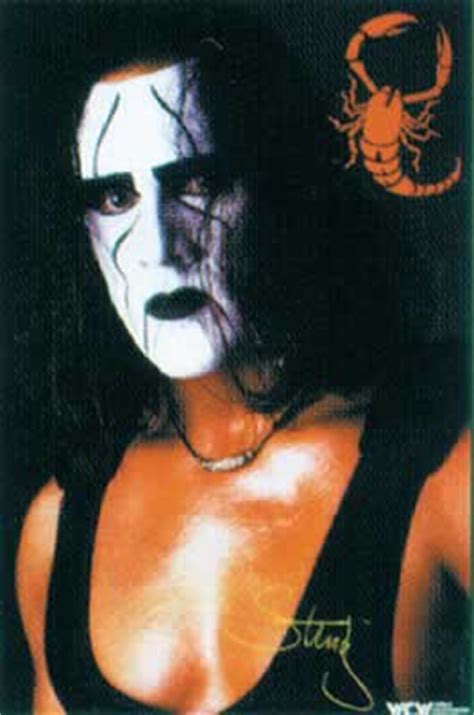 WWE: WCW Sting wrestler