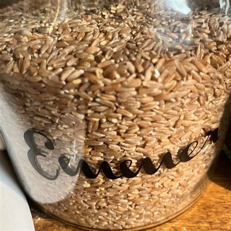 Ancient Grains: Emmer — 3 Dog Urban Homestead