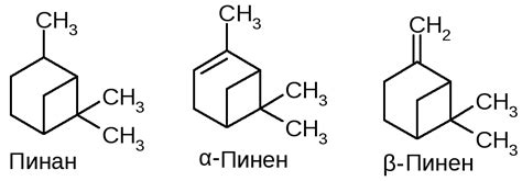 32. изопреноиды I. терпены