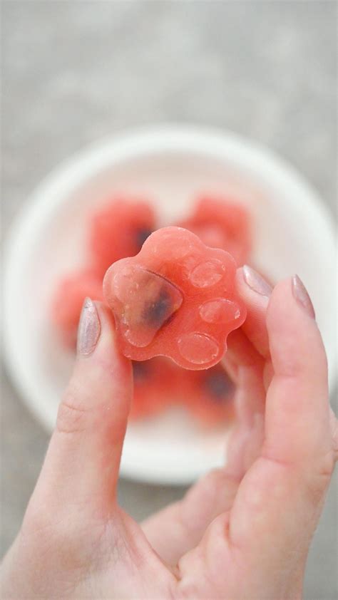 8 Dog’s food recipe ideas in 2025 | healthy dog food recipes, dog food recipes, healthy dog