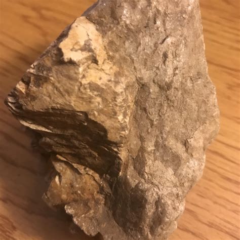 Found this on artist bluff cliff in the white mountains NH. His past