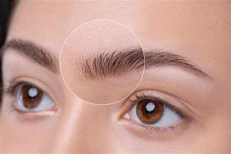 Quanto Tempo Demora Para Uma Sobrancelha Crescer - Quanto tempo leva para as sobrancelhas voltarem a crescer?