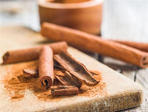grow   cinnamon tree