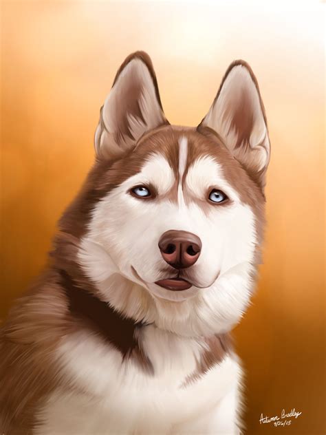 Red Siberian Husky Digital Drawing
