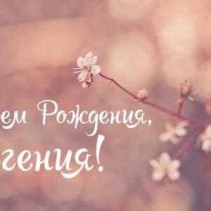 Стильная открытка с Днем Рождения Евгению