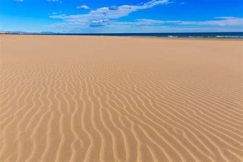 Canet 이미지 – 찾아보기 766 스톡 사진, 벡터 및 비디오 | Adobe Stock