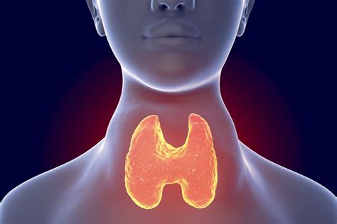 Goiter : Overview, Causes, Symptoms, Treatment - illness.com