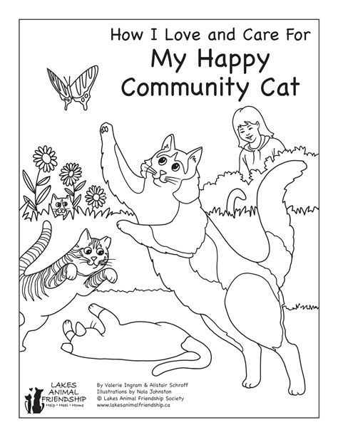 How I Love and Care for My Happy Community Cat – Lakes Animal