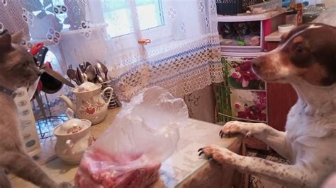 Бегу в Озон,Магнит ,мясной магазин - YouTube