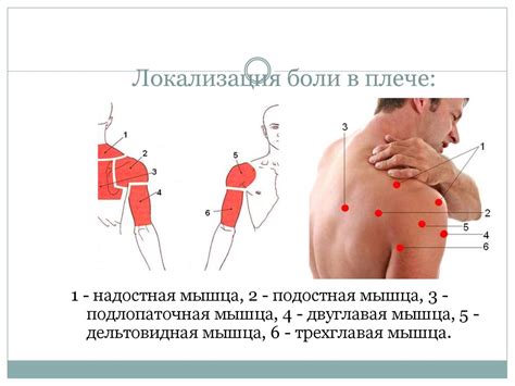 Патология костно-мышечной системы - презентация онлайн