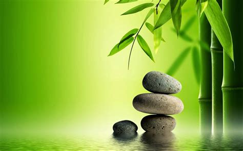 HARVEY RIVADENEIRA GALIANO: QUE ES ZEN......