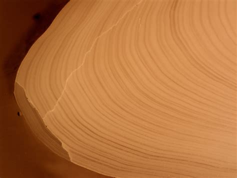 Rapid warming in the Gulf of Maine reverses 900 years of cooling