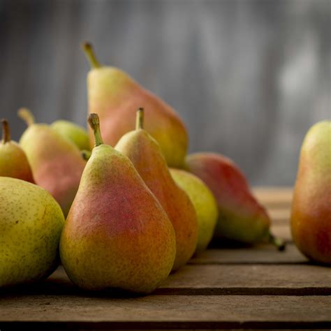 The Painful Truth Behind Princess Diana, Kate Middleton’s Favorite