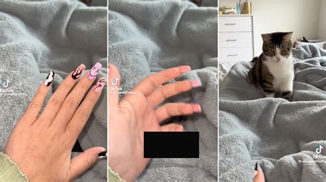 usergosd7n01yj "New Nails & My Kitty" TikTok Video Screenshots