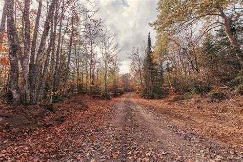 ATV Trails in Chippewa County